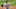 Chris Sale es el jugador mejor pagado de los Medias Rojas, cortesía de su enorme contrato por cinco años con el equipo Chris Sale es el jugador mejor pagado de los Medias Rojas, cortesía de su enorme contrato por cinco años con el equipo